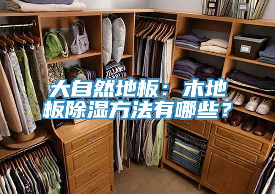 大自然地板：木地板除濕方法有哪些？