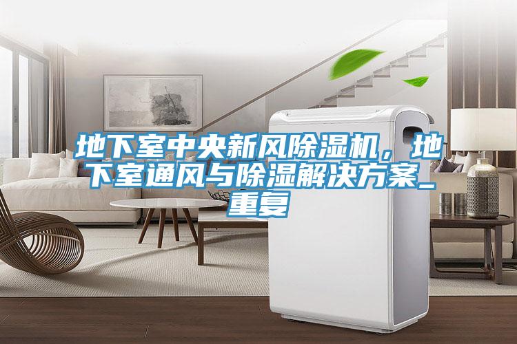 地下室中央新風好色先生在线播放,地下室通風與除濕解決方案_重複