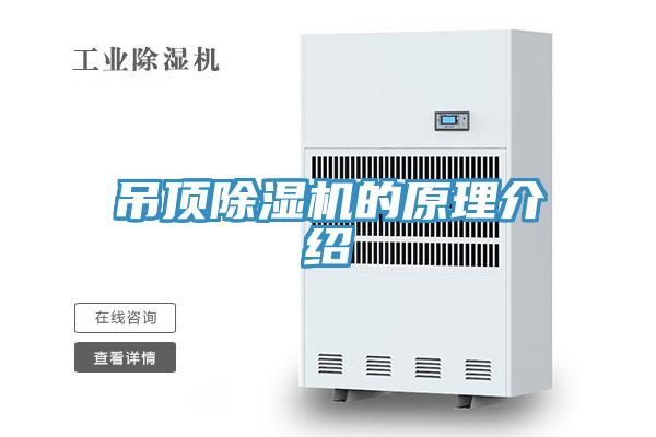 吊頂好色先生在线播放的原理介紹