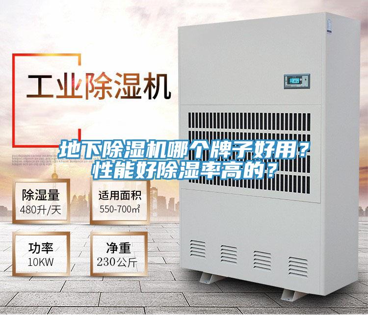 地下好色先生在线播放哪個牌子好用?性能好除濕率高的?