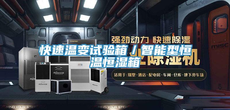 快速溫變試驗箱/智能型恒溫恒濕箱