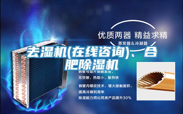 去濕機(在線谘詢)、合肥好色先生在线播放