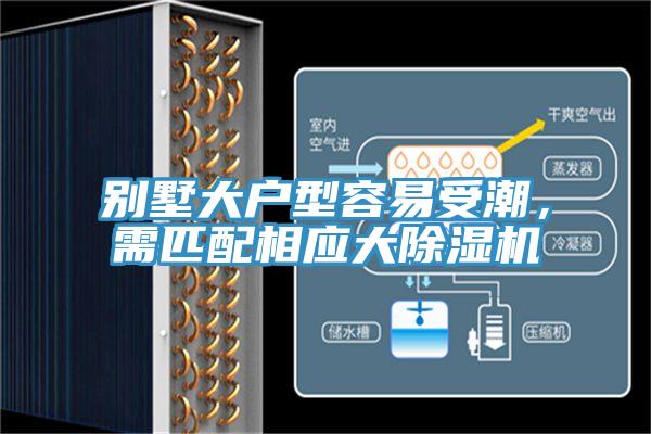 別墅大戶型容易受潮，需匹配相應大好色先生在线播放