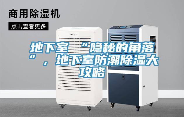 地下室≠“隱秘的角落”，地下室防潮除濕大攻略