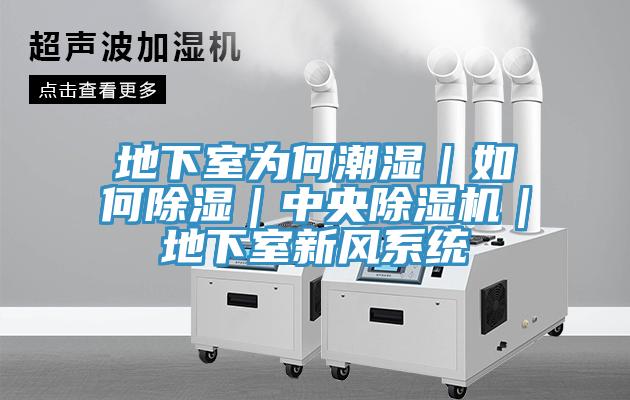 地下室為何潮濕|如何除濕|中央好色先生在线播放|地下室新風係統