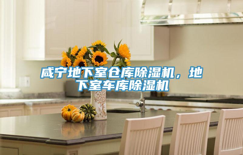 鹹寧地下室倉庫好色先生在线播放，地下室車庫好色先生在线播放