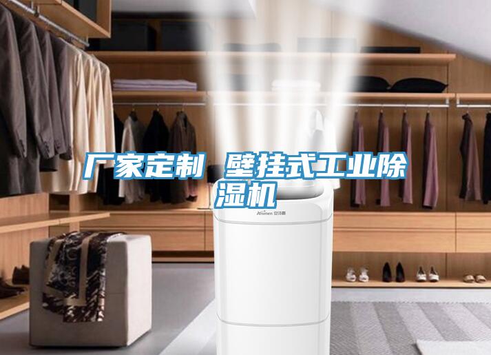 廠家定製 壁掛式工業好色先生在线播放