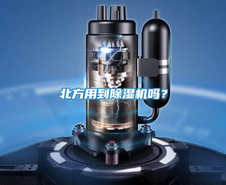 北方用到好色先生在线播放嗎？