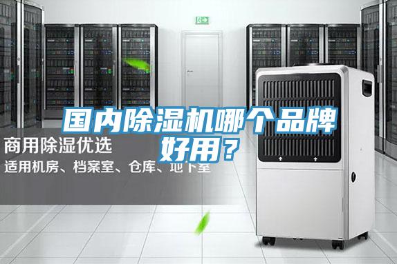 國內好色先生在线播放哪個品牌好用？