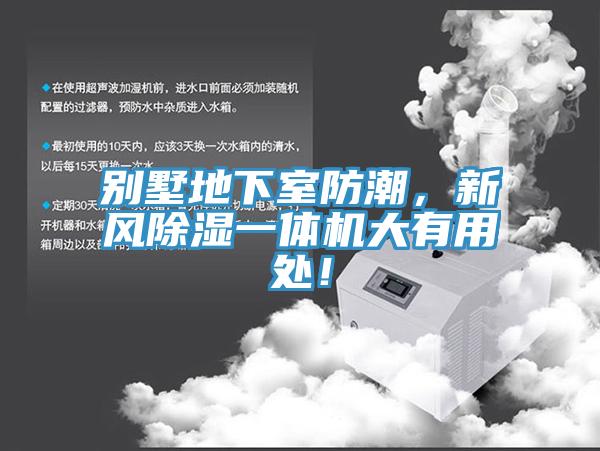 別墅地下室防潮，新風除濕一體機大有用處！