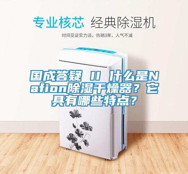 國成答疑 II 什麽是Nafion除濕幹燥器？它具有哪些特點？