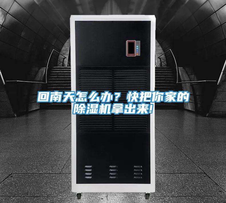 回南天怎麽辦?快把你家的好色先生在线播放拿出來!