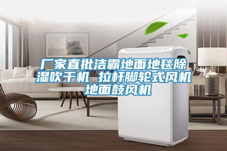 廠家直批潔霸地麵地毯除濕吹幹機 拉杆腳輪式風機 地麵鼓風機