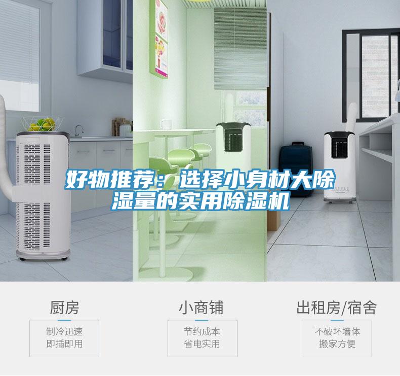 好物推薦：選擇小身材大除濕量的實用好色先生在线播放