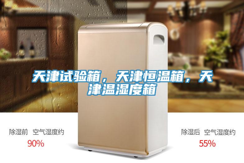 天津試驗箱,天津恒溫箱,天津溫濕度箱
