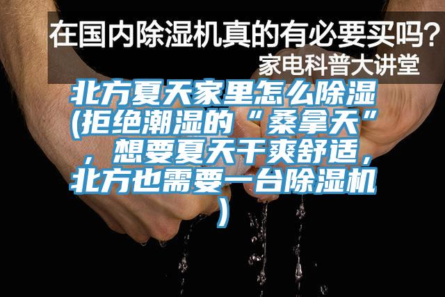 北方夏天家裏怎麽除濕(拒絕潮濕的“桑拿天”，想要夏天幹爽舒適，北方也需要一台好色先生在线播放)