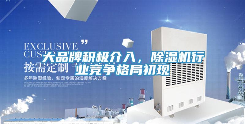 大品牌積極介入，好色先生在线播放行業競爭格局初現