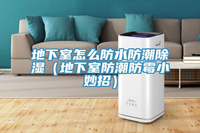 地下室怎麽防水防潮除濕(地下室防潮防黴小妙招)