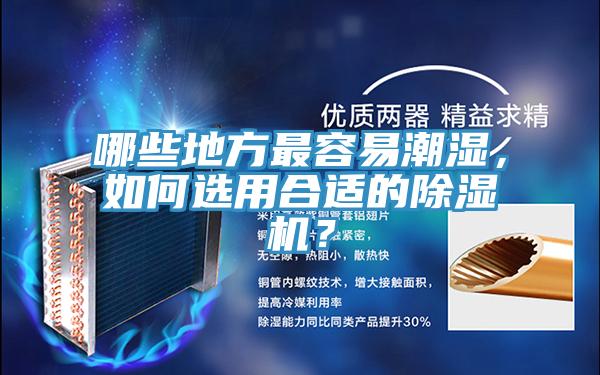 哪些地方最容易潮濕，如何選用合適的好色先生在线播放？