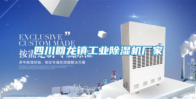 四川回龍鎮工業好色先生在线播放廠家