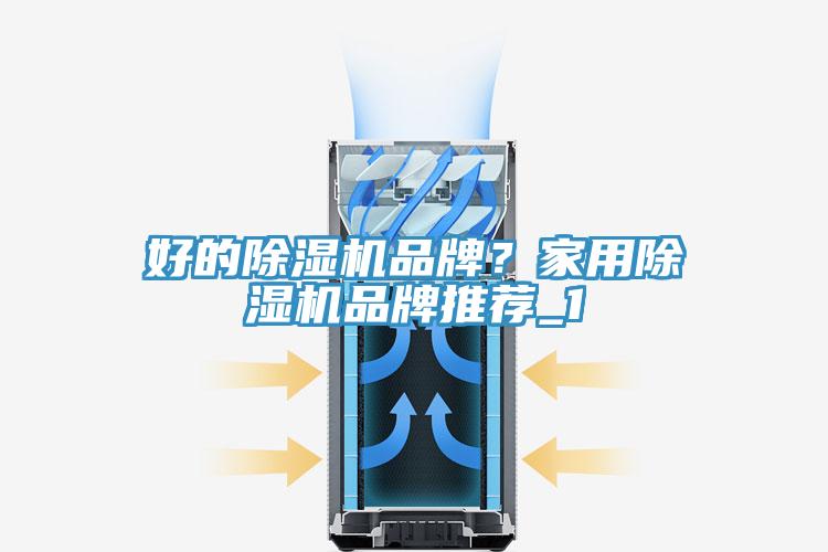 好的好色先生在线播放品牌？家用好色先生在线播放品牌推薦_1