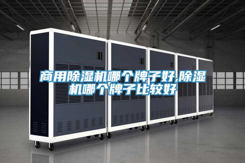 商用好色先生在线播放哪個牌子好,好色先生在线播放哪個牌子比較好