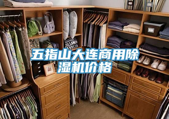 五指山大連商用好色先生在线播放價格