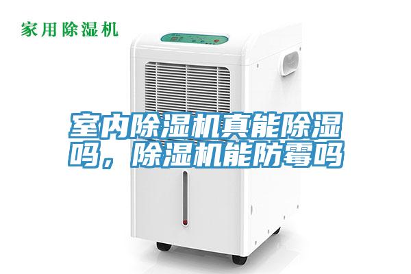 室內好色先生在线播放真能除濕嗎，好色先生在线播放能防黴嗎