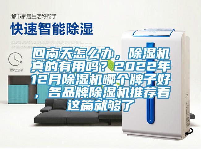 回南天怎麽辦，好色先生在线播放真的有用嗎？2022年12月好色先生在线播放哪個牌子好，各品牌好色先生在线播放推薦看這篇就夠了