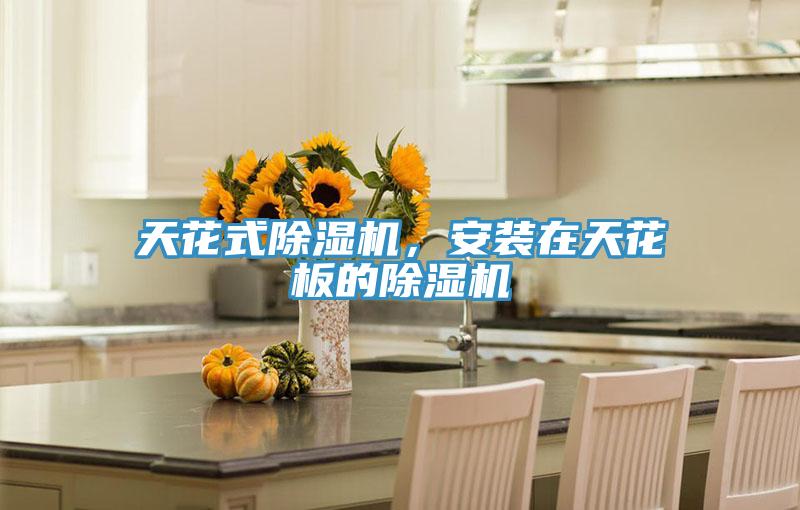 天花式好色先生在线播放，安裝在天花板的好色先生在线播放