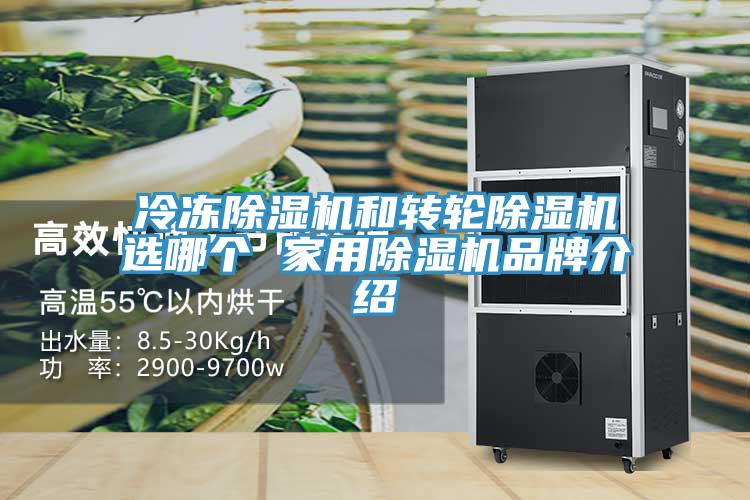 冷凍好色先生在线播放和轉輪好色先生在线播放選哪個 家用好色先生在线播放品牌介紹