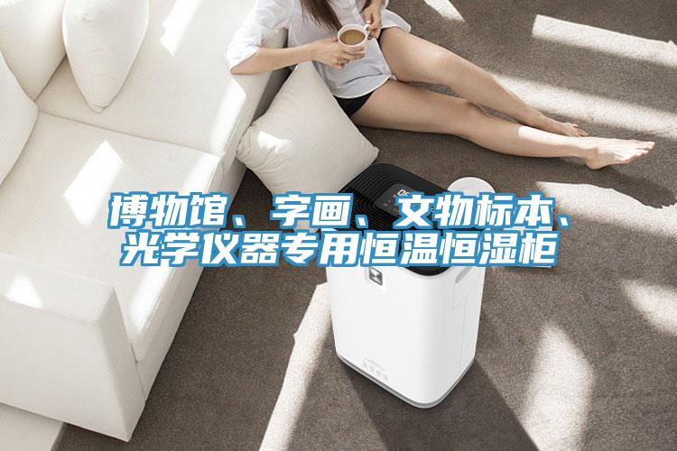博物館、字畫、文物標本、光學儀器專用恒溫恒濕櫃