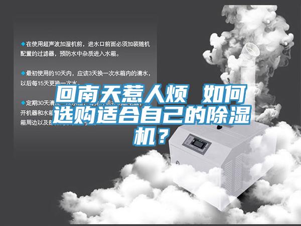 回南天惹人煩 如何選購適合自己的好色先生在线播放?