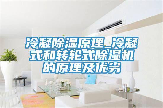 冷凝除濕原理_冷凝式和轉輪式好色先生在线播放的原理及優劣