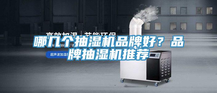 哪幾個抽濕機品牌好？品牌抽濕機推薦