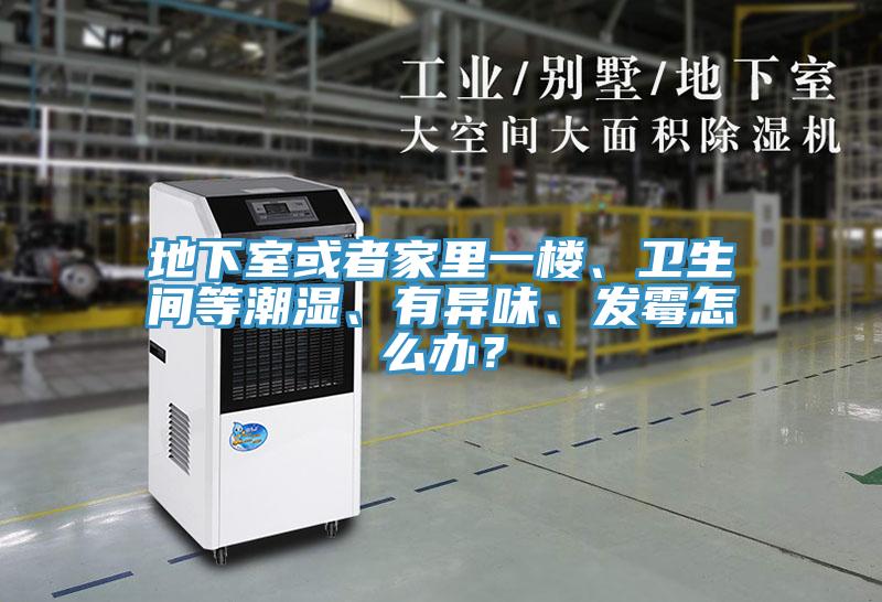 地下室或者家裏一樓、衛生間等潮濕、有異味、發黴怎麽辦？