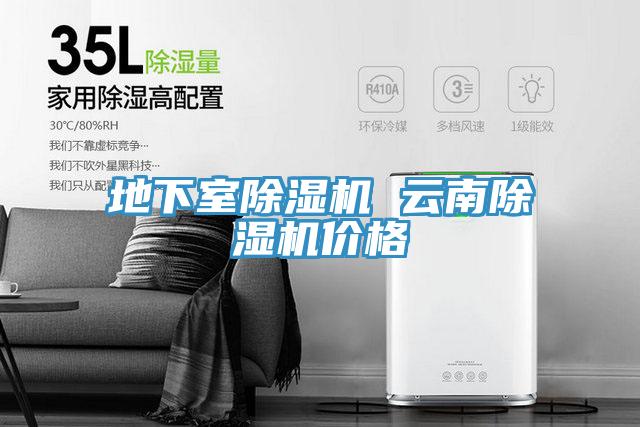 地下室好色先生在线播放 雲南好色先生在线播放價格