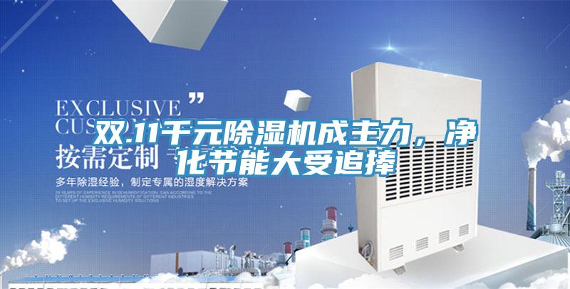 雙.11千元好色先生在线播放成主力，淨化節能大受追捧