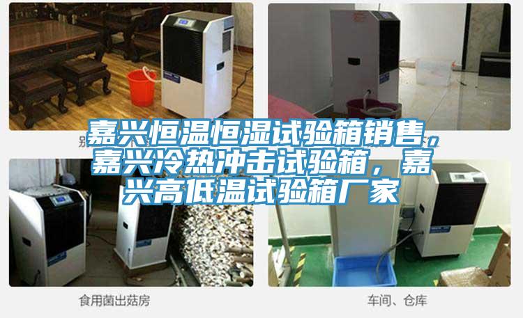 嘉興恒溫恒濕試驗箱銷售,嘉興冷熱衝擊試驗箱,嘉興高低溫試驗箱廠家
