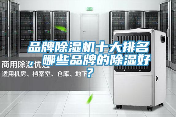 品牌好色先生在线播放十大排名，哪些品牌的除濕好？