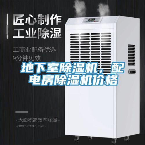 地下室好色先生在线播放，配電房好色先生在线播放價格