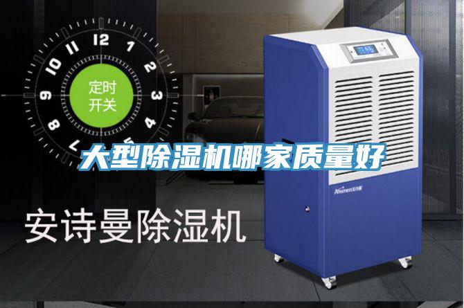 大型好色先生在线播放哪家質量好