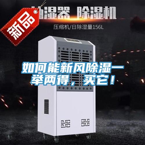 如何能新風除濕一舉兩得，買它！