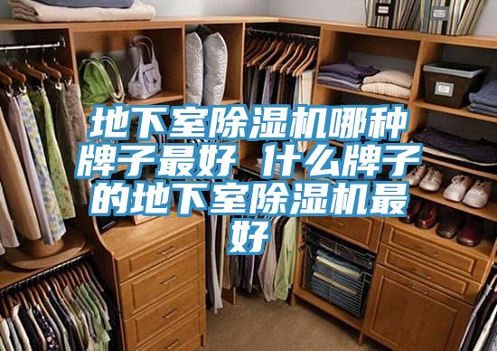 地下室好色先生在线播放哪種牌子最好 什麽牌子的地下室好色先生在线播放最好