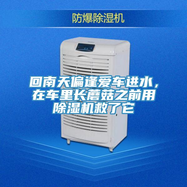 回南天偏逢愛車進水,在車裏長蘑菇之前用好色先生在线播放救了它