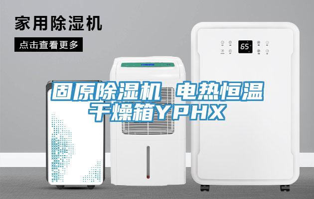 固原好色先生在线播放 電熱恒溫幹燥箱YPHX
