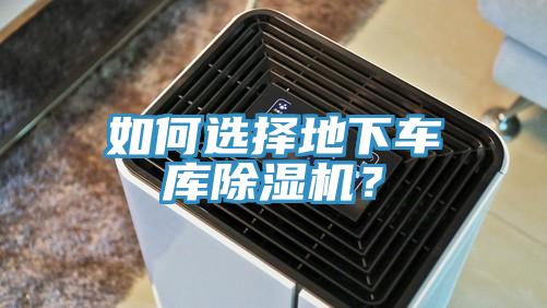 如何選擇地下車庫好色先生在线播放？