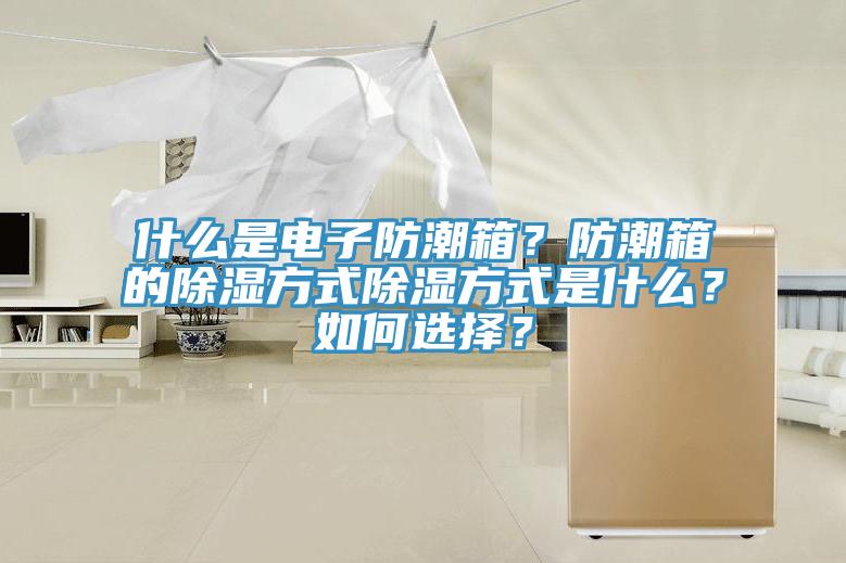 什麽是電子防潮箱?防潮箱的除濕方式除濕方式是什麽?如何選擇?