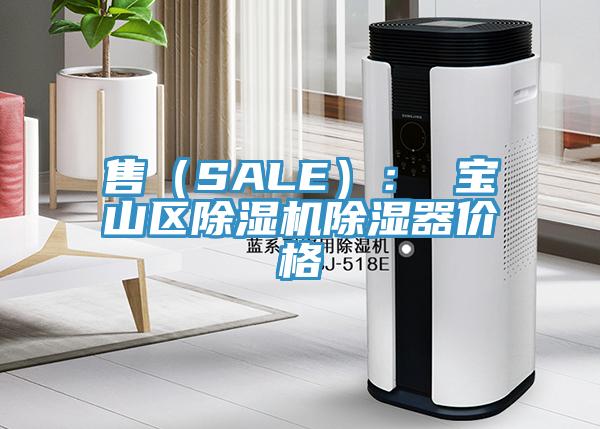 售（SALE）： 寶山區好色先生在线播放除濕器價格