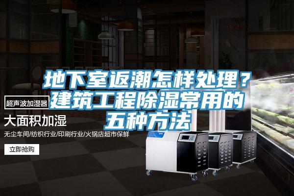 地下室返潮怎樣處理？建築工程除濕常用的五種方法